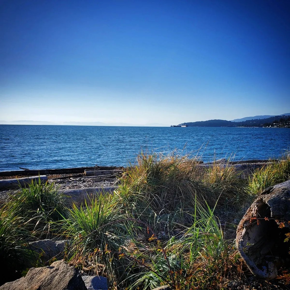 Autumnal Dundarave Beach
🐟
#Dundarave 
#WestVancouver 
#Canada 
#October
#SunnyDay