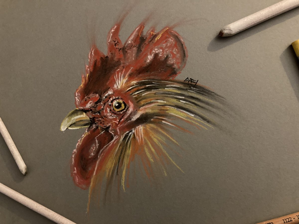 urbancyclist's tweet photo. Quick chick… Our little bantam cockerel Dorian, who runs away from pheasants siding up to his girls and roosts first leaving them all outside.
#drawing #sketch #doodle #pastel #pastelpencil #pencilsketch #chicken #cockerel #rooster #chook #chickendrawing https://t.co/MxulCV5EE0