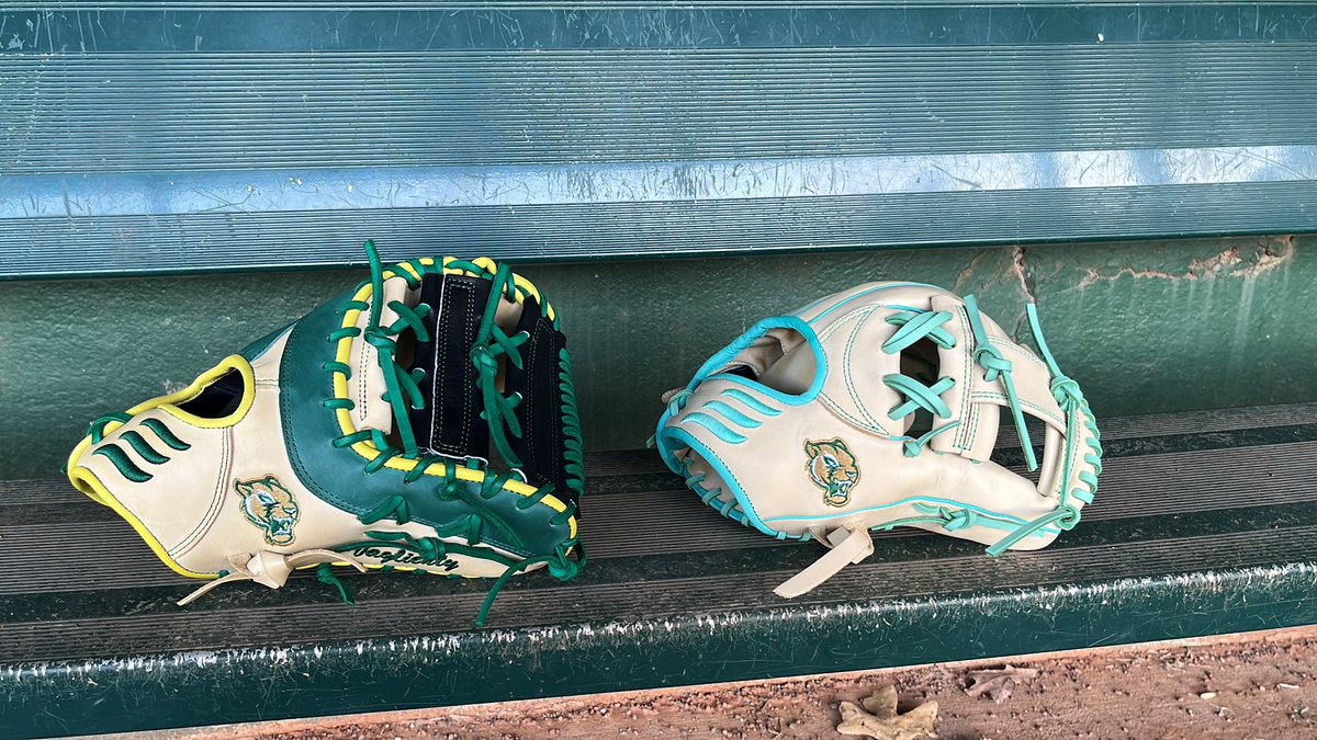 SmithPhilander's tweet image. S/O Emery gloves for hooking up some of the Panthers with custom gloves!!