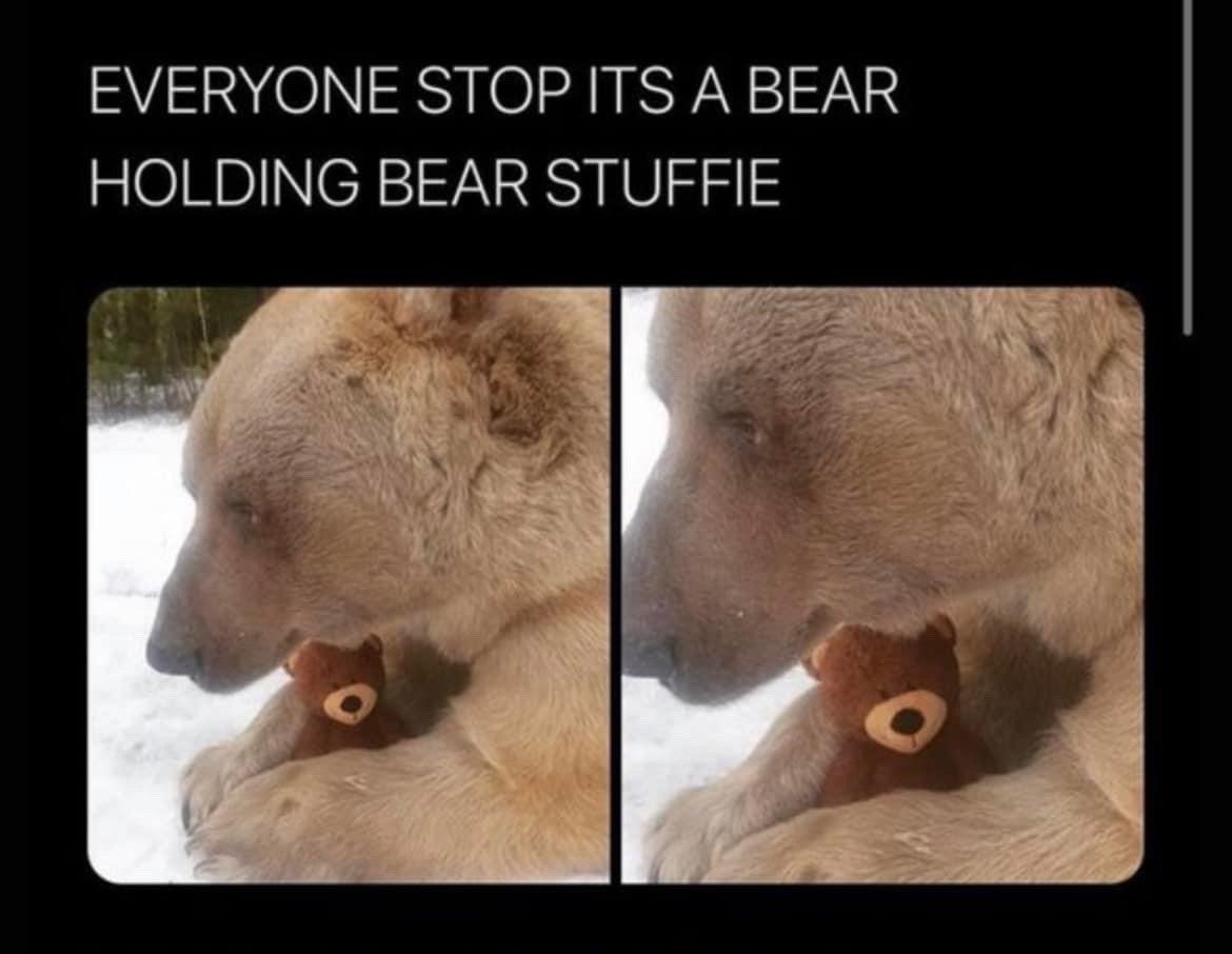 WholesomeMeme's tweet image. 