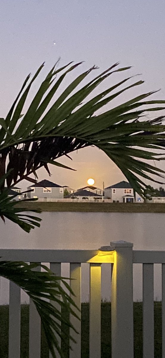 Joni_Apple_Seed's tweet photo. @TheFlatEartherr Not the sun https://t.co/Xf5aWrqvTD