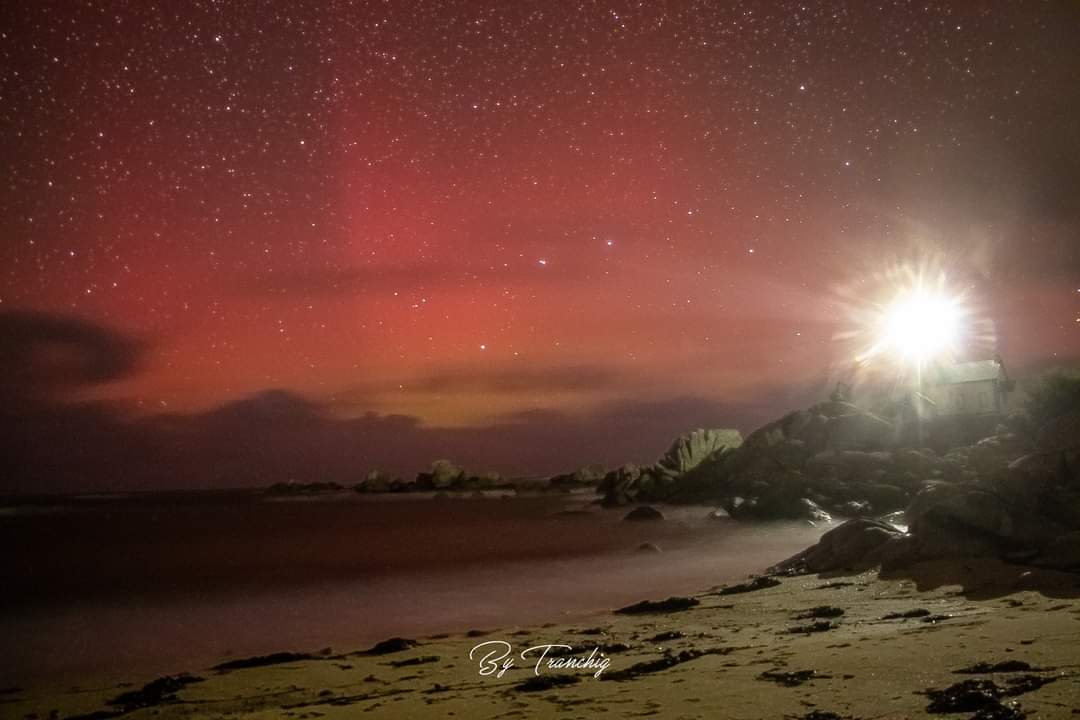 By Tranchig tweet media