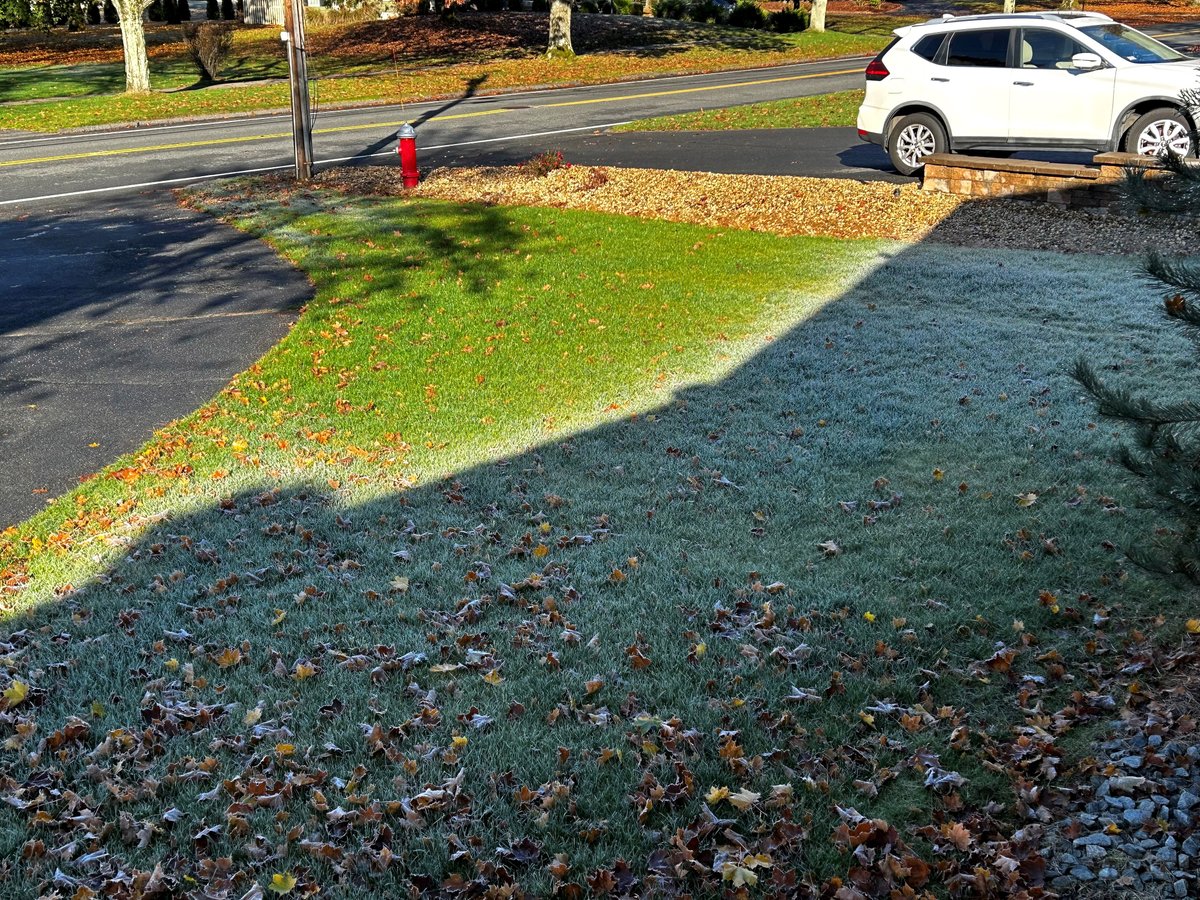 USGAGrnSection's tweet photo. If you want to see how shade extends frost delays on the golf course, just look out your window on a chilly morning. https://t.co/KwZze2h3sR