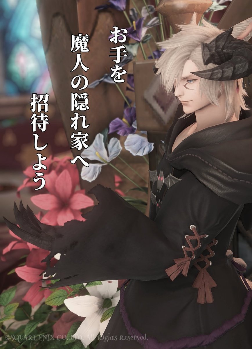 Sion_ff14_'s tweet photo. *·̩͙꒰ঌ ᴳᴼᴼᴰ ᴹᴼᴿᴺᴵᴺᴳ ໒꒱·̩͙*
シオンです。
突然、降って湧いた休みに
ノープランで困惑してるとです…。
シオンですシオンですシオンです…。
#studio_Capretta
#ファイナルファンタジーXIV
インしに行こかな🙄
今日もゆるりと素敵な1日を🐈🐾 https://t.co/QF2bBxDJix