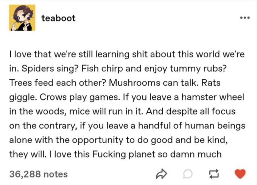 WholesomeMeme's tweet photo. https://t.co/VRl30uKhBc