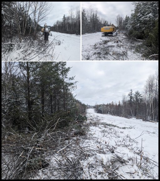 Road brushing and clearing continues on the access road to Falcon Lake to improve safety and access for Winter drilling. Great work by our local contracting partner Livin it N Diggin it #FalconLake #Lithium