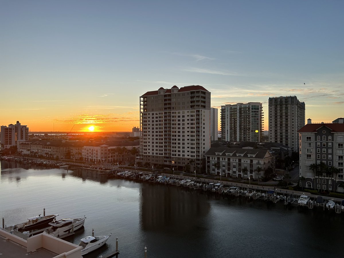 Michelle Apuzzio tweet media