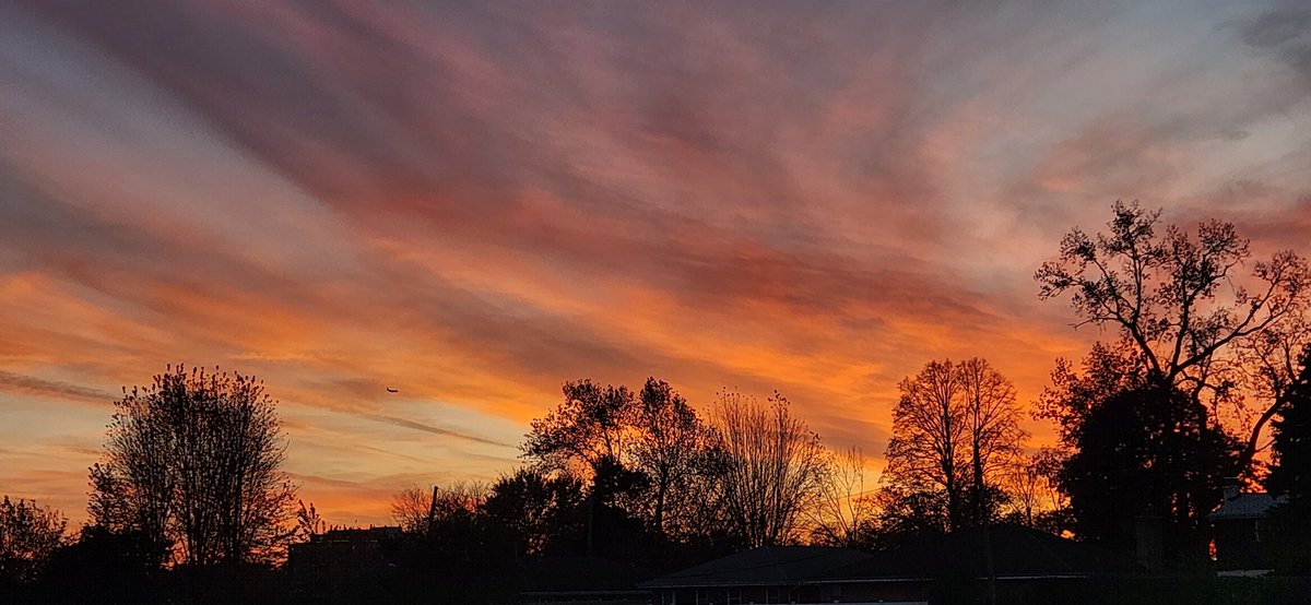 GeneClutch_'s tweet photo. Colorful fall sunset #chicagosunset https://t.co/HzbAESLsso