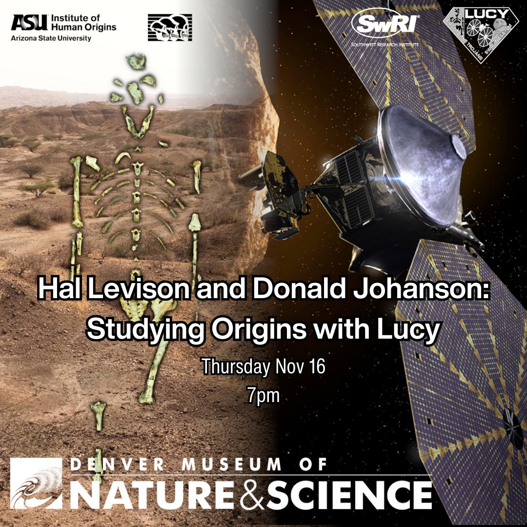 Lucy Mission (@lucymission) on Twitter photo In the Denver area? Come to a special event at the <a href="/DenverMuseumNS/">Denver Museum</a> to celebrate the #LucyMission's first asteroid encounter and the upcoming 50th anniversary of the discovery of the Lucy Fossil!
secure1.dmns.org/hal-levison-an… In the Denver area? Come to a special event at the <a href="/DenverMuseumNS/">Denver Museum</a> to celebrate the #LucyMission's first asteroid encounter and the upcoming 50th anniversary of the discovery of the Lucy Fossil!
secure1.dmns.org/hal-levison-an…