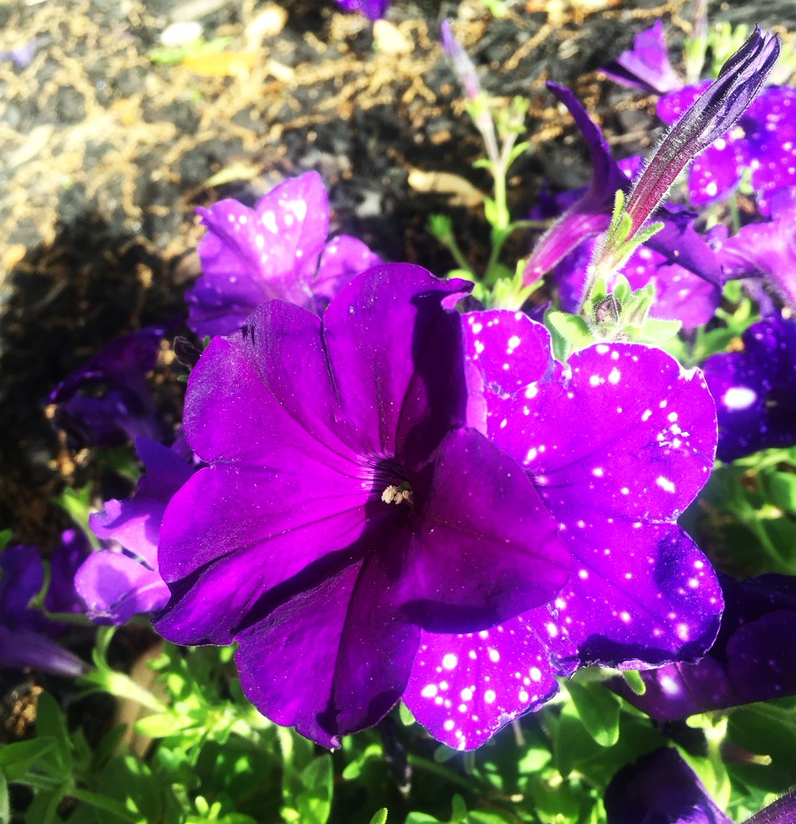 You learn nothing from life if you think you're right all the time.