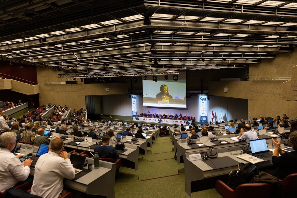 IISD_ENB's tweet photo. Opening #CITESsc77, Secretary-General @IvonneHiguero highlighted major milestones of @CITES' first 50 years

• more than 38,000 species regulated
• 23 million #trade records
• 1.3 billion trade transactions in the past decade

Read➡️ https://t.co/jUc8nlpohy

#EndangeredSpecies https://t.co/OhVcJ2huAL