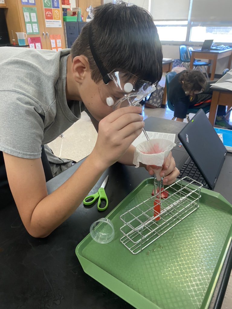 GoQLMS's tweet photo. Mrs. Buckley’s scientists were extracting DNA from strawberries today! 🍓 #PRIDEinUS @YCSD https://t.co/4qX6WO1osx
