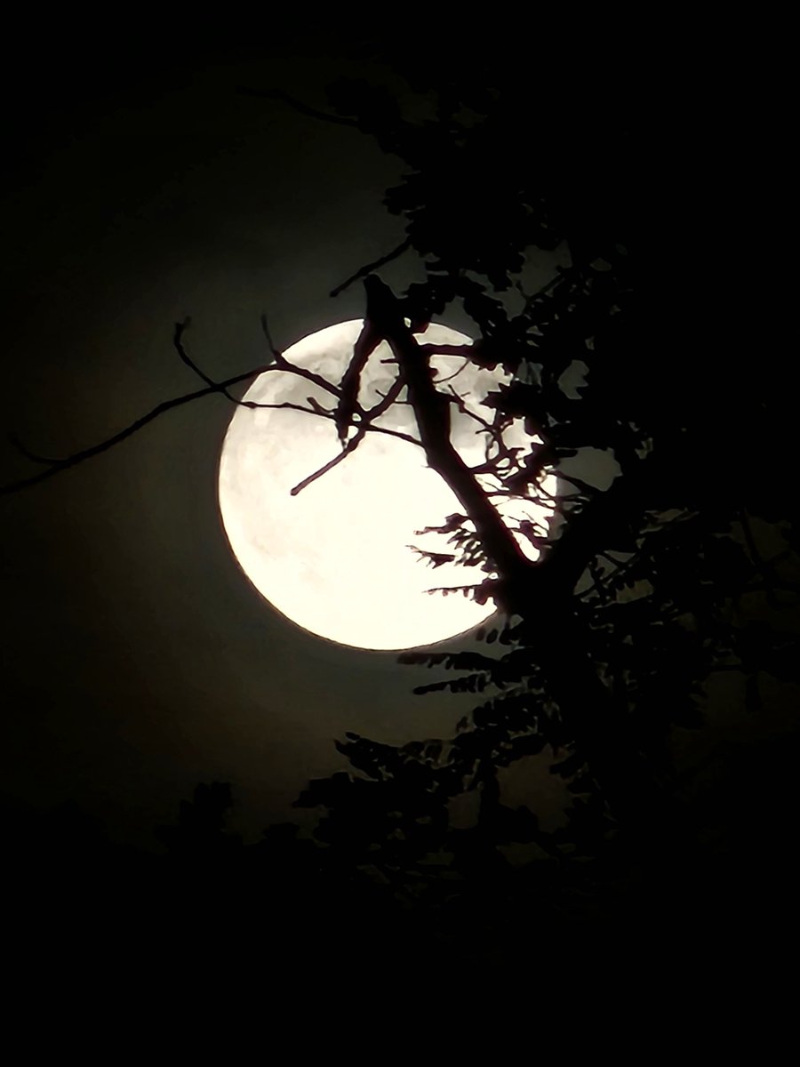 Shadelife3's tweet photo. #moon #withgalaxy https://t.co/1TvcDScgxC