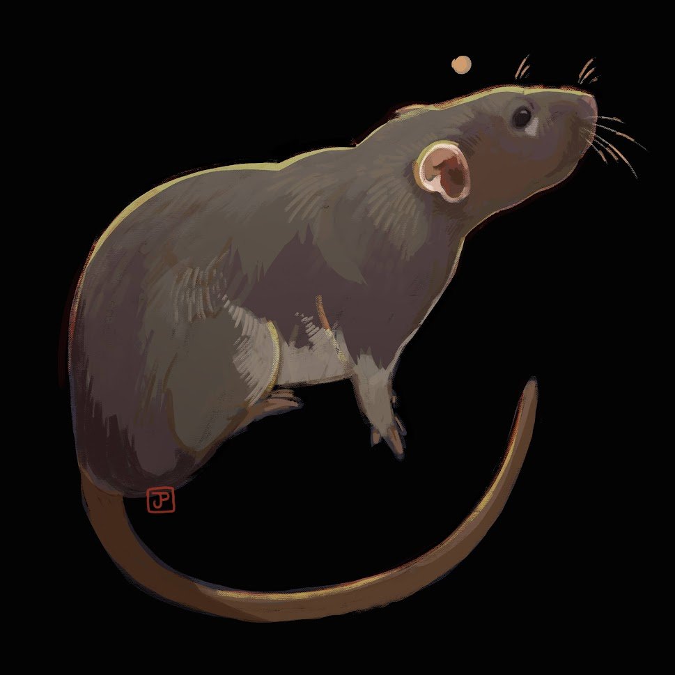 pixeIdeer's tweet image. Another painting of my rats, this is Beans! ✨