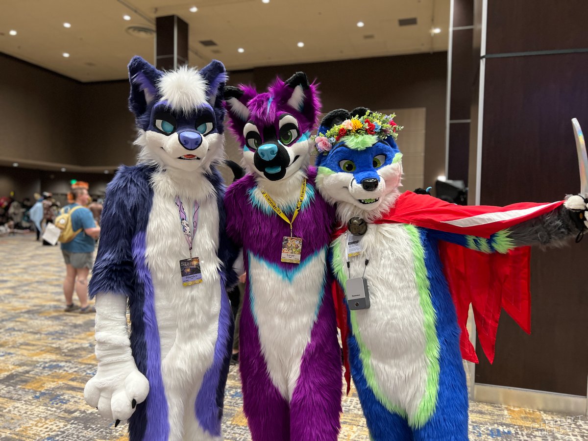 CircuitWolfy's tweet image. It’s @dexteritylol, @CycurCanine, and @DoddsieFox!  3 cute beans!

📍 #BLFC #BLFC23 #BLFC2023