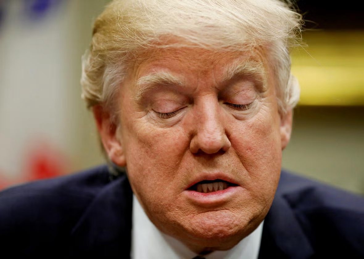 Occupy Democrats tweet media