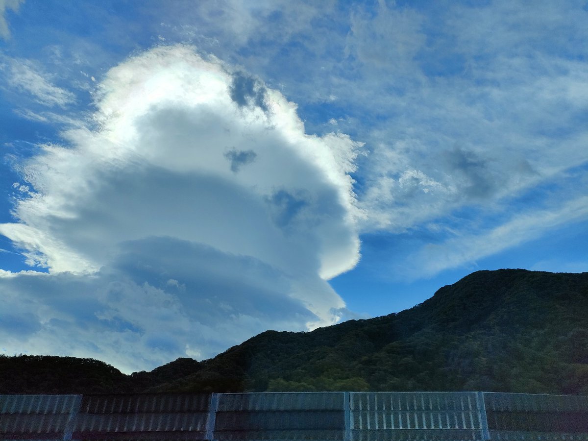 re_tssh's tweet photo. 龍の巣··· https://t.co/QMATEYrClM