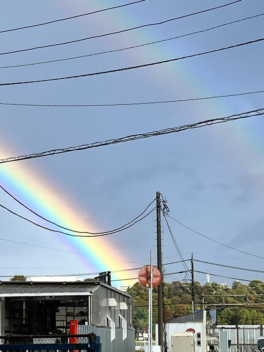DeepJunkman's tweet photo. おはようございます🌈
#NEMOPHILA https://t.co/gmxALv6M1V