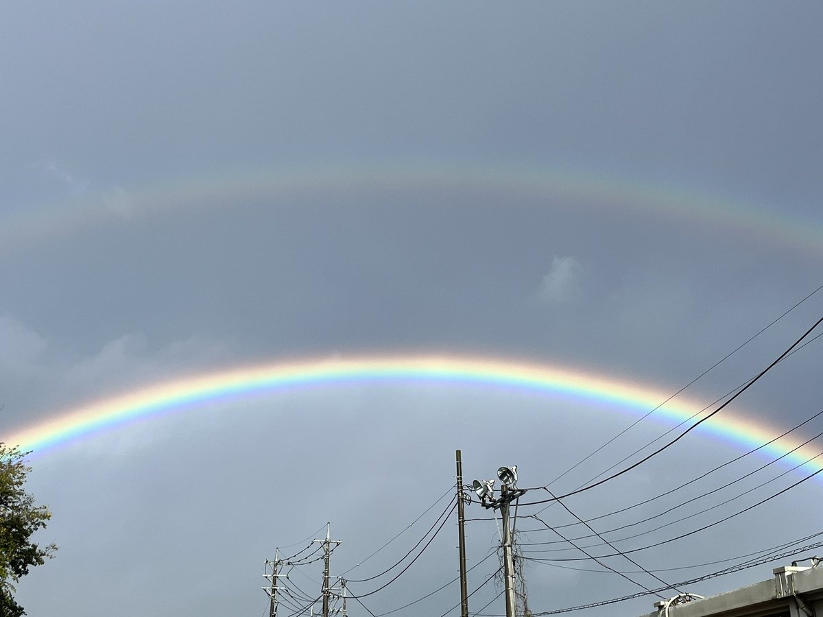 DeepJunkman's tweet photo. おはようございます🌈
#NEMOPHILA https://t.co/gmxALv6M1V
