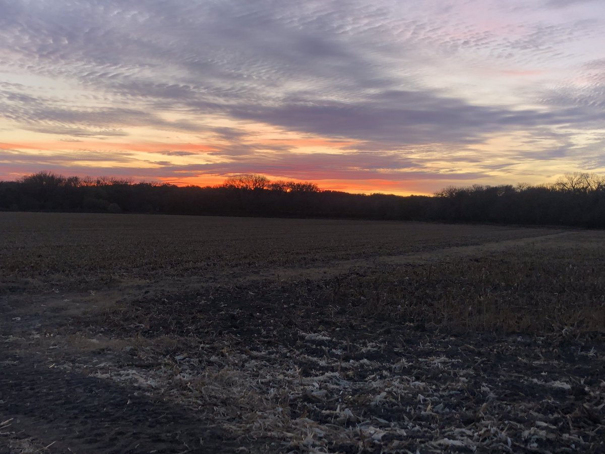Scottgunz1's tweet photo. Nice
#nebraskasunset https://t.co/DrL25IuRrh