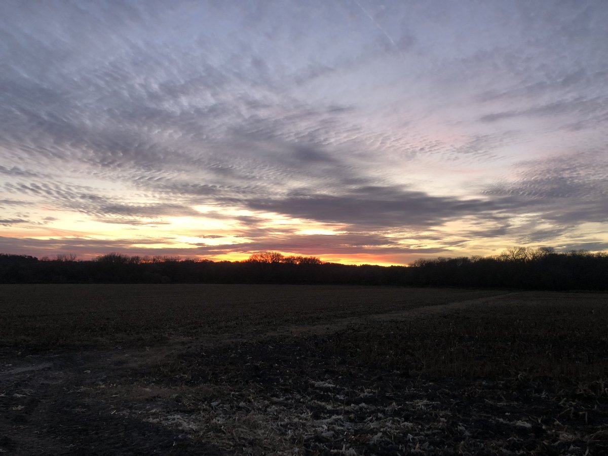 Scottgunz1's tweet photo. Nice
#nebraskasunset https://t.co/DrL25IuRrh