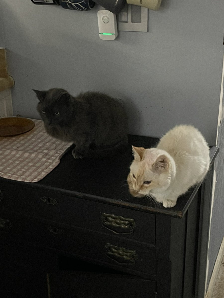 me and ms. b are so hungry