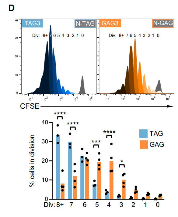 #OnlineFirst: Tumor-reactive CD8+ #Tcells enter a TCF1+PD1– dysfunctional state, by @jjroetman, Mary Philip et al. bit.ly/3MxT9w1 @immuno_minna @VUmedicine