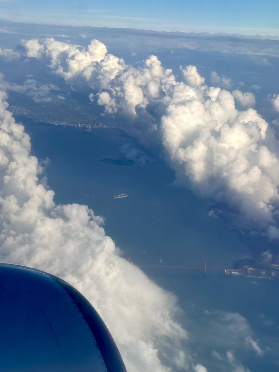 After the most chaotic airport experience of my life, I have made it to San Francisco for work. May the rest of this trip be delightfully boring. 😌✨