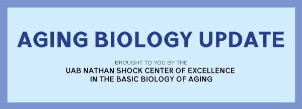 The UAB Nathan Shock Center November 2023 Aging Biology Update is now available: 
view.reach.uab.edu/?qs=5654dd4afb…