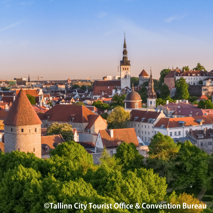 TACHIKAWA LOPPIS tweet media