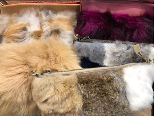 lz_ezz666's tweet photo. 苦しみが染み込んだ犠牲産物
動物毛皮は服飾雑貨ではありません
その残虐過程を知っていますか　
#NoFar    #毛皮は残虐 https://t.co/JKdTY0QXuv