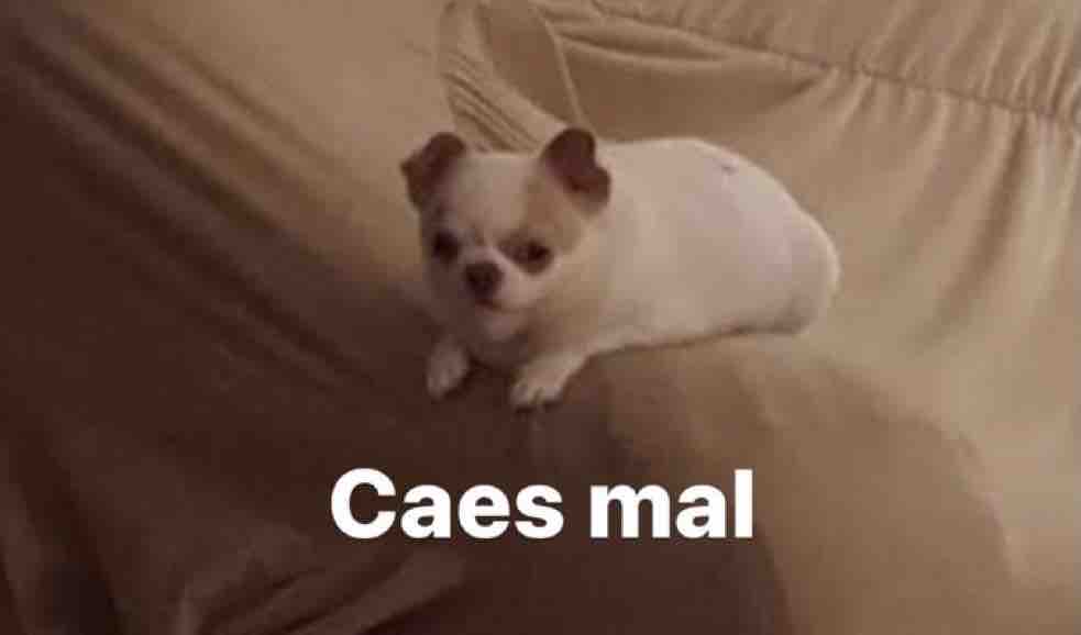 Guarromantico_'s tweet photo. *Me cae bien alguien*

Lo que le digo: https://t.co/nTtjh00QZl
