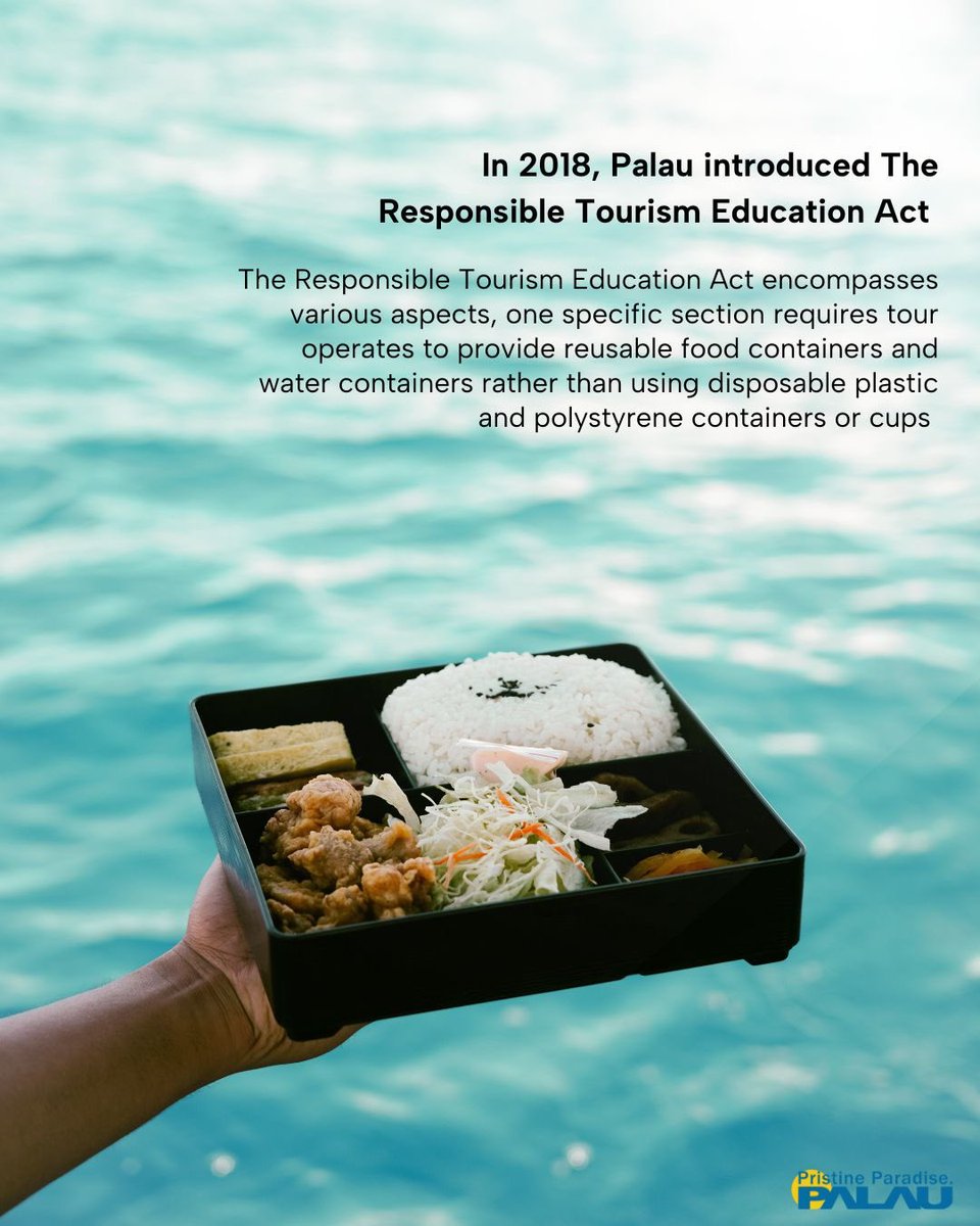 If you hadn't noticed before, here's an interesting tidbit: What benefits the environment is also beneficial for your well-being! Positive actions to ensure a Pristine Paradise. Palau for Everyone. #responsibletourism #visitpalau #pristineparadise #palau