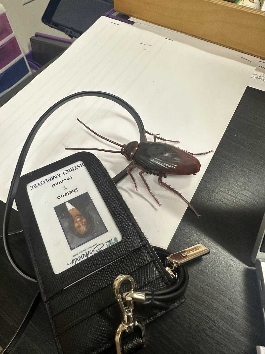 Sheleea Leonard tweet media