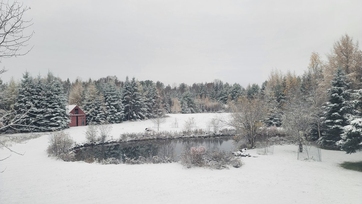 When this pond freezes over, what do we think would make the perfect solar lights to make this a magic ice skating adventure worthy of a @hallmarkchannel special. Tiki torches? Fairy lights? Firefly lights? Mason jar lights? Something else?