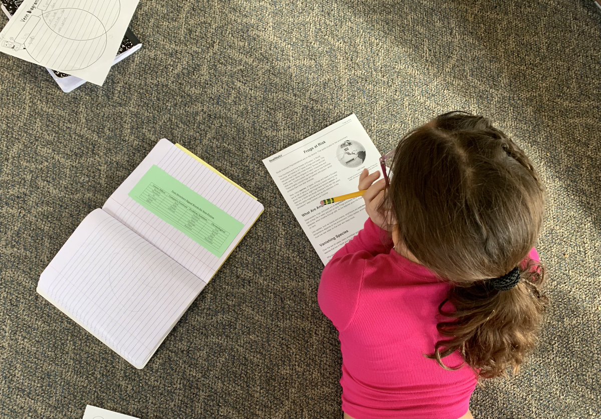 Mary Lattin tweet media