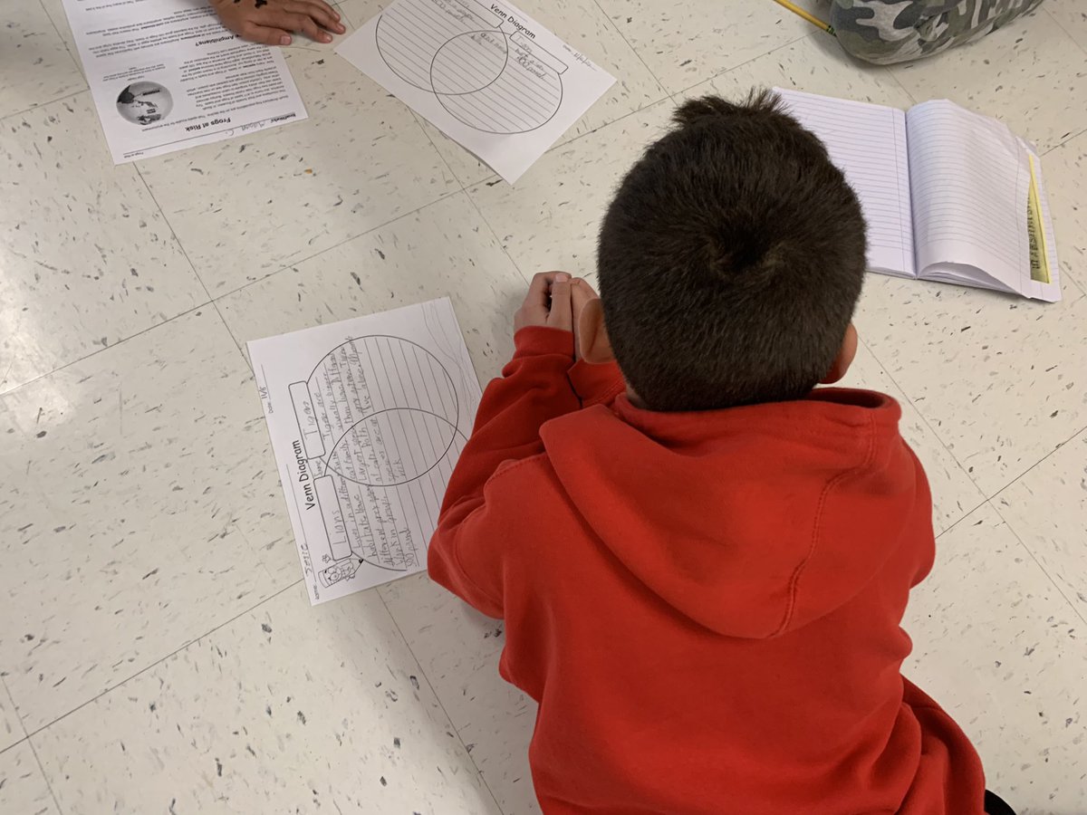 Mary Lattin tweet media