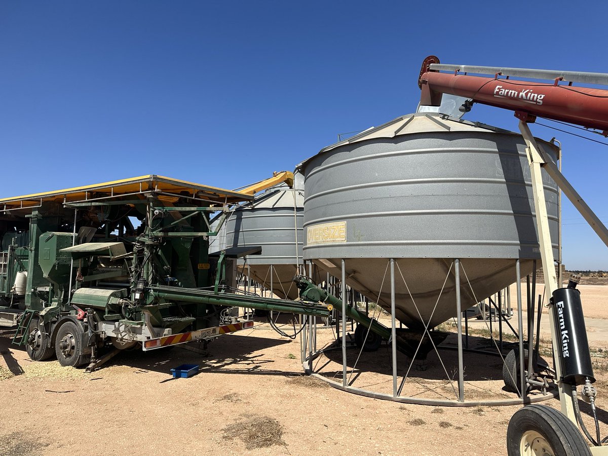 walcoseedau's tweet photo. From Paddock to Silo in less than 24hours! Ready to go back into the ground for next season πͺ Getting in early with the seed work. #harvest23 #seed24 #walcoseed https://t.co/g9Dg7f4id6