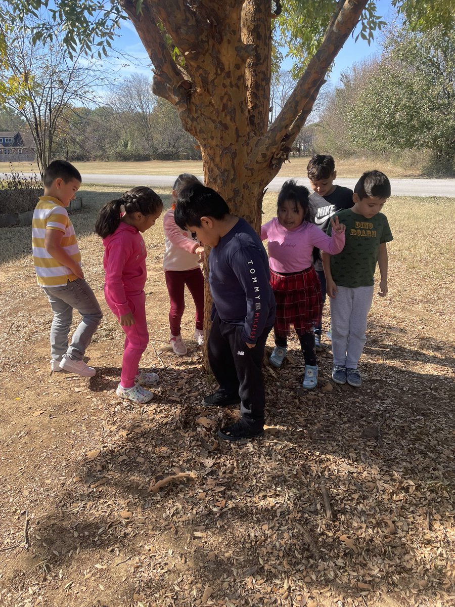 Ms. Bertels ESL Class tweet media