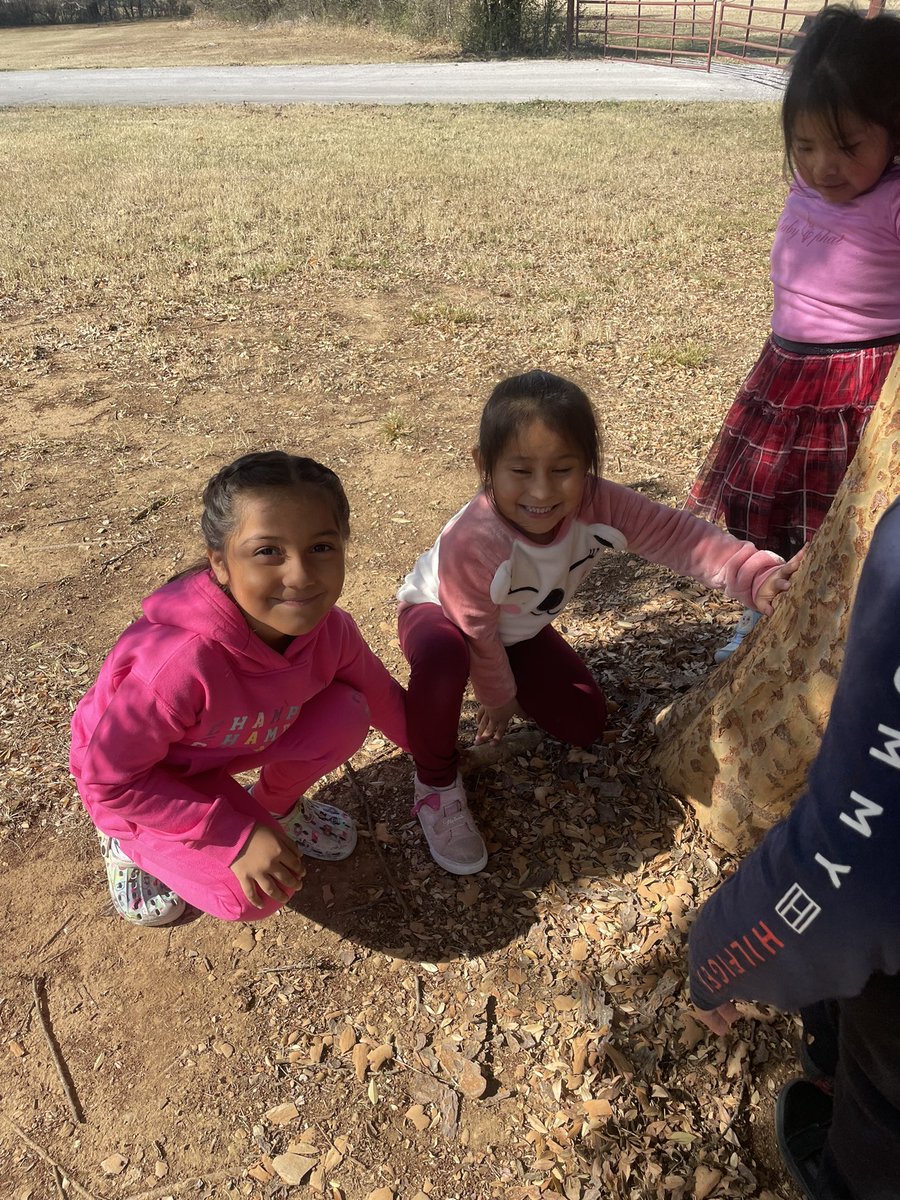 Ms. Bertels ESL Class tweet media