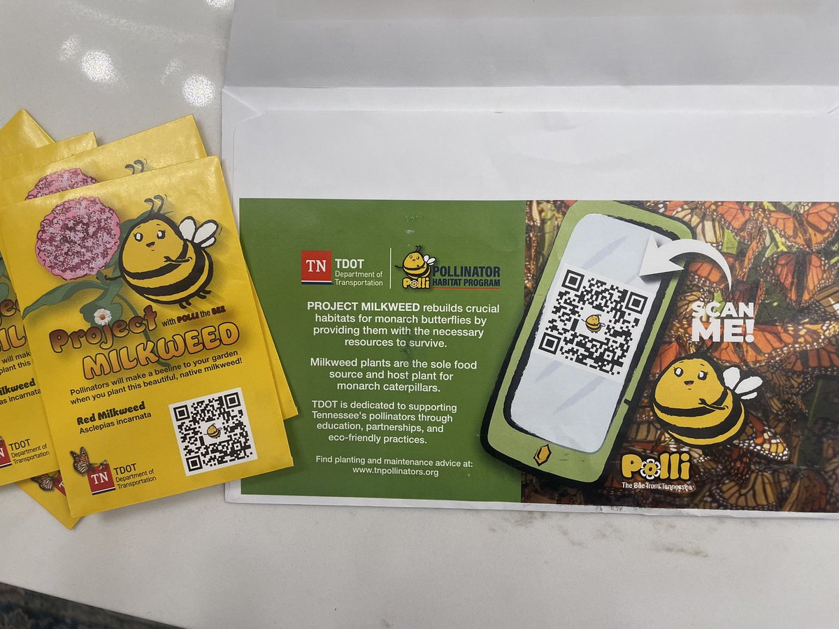 Ms. Bertels ESL Class tweet media