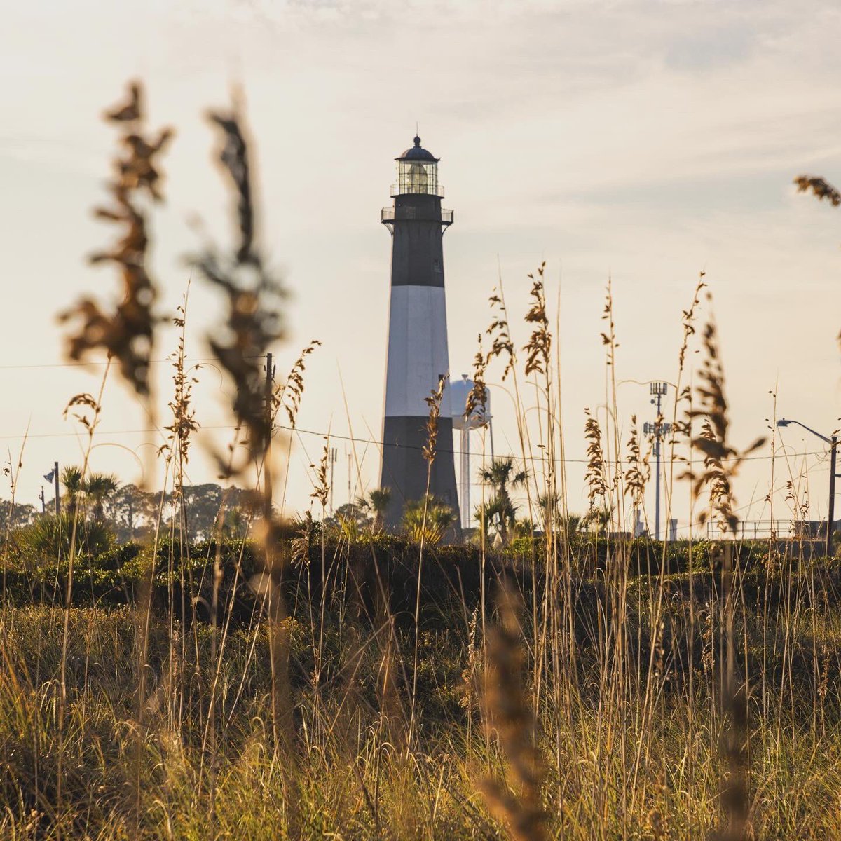 Logan Thomas Media | Professional Photography tweet media