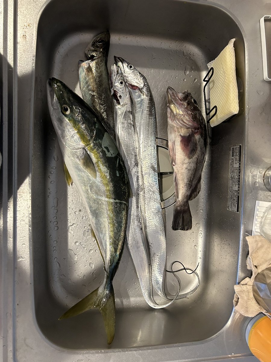 11月3日勝栄丸にて