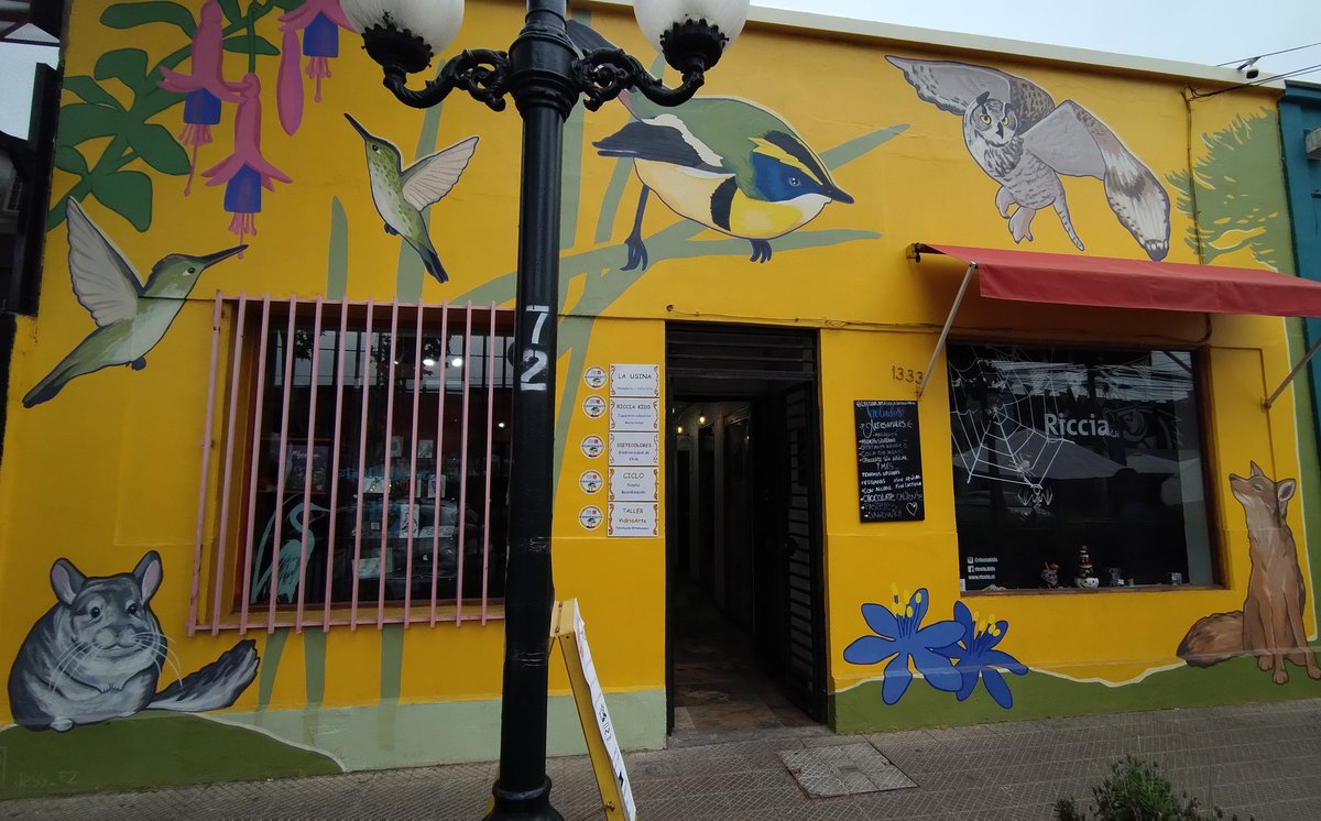 SoyLaTalAle's tweet photo. Ya que les gustó tanto el #Fiu
Pueden visitar esta tienda dedicada a los pajaritos, tienen desde libros hasta ropa.
Hay polerones del #Fiu y objetos varios de distintas especies.
La recomiendo!
Queda en Barrio Italia cercano #MetroSantaIsabel https://t.co/ZJV21YBzJn