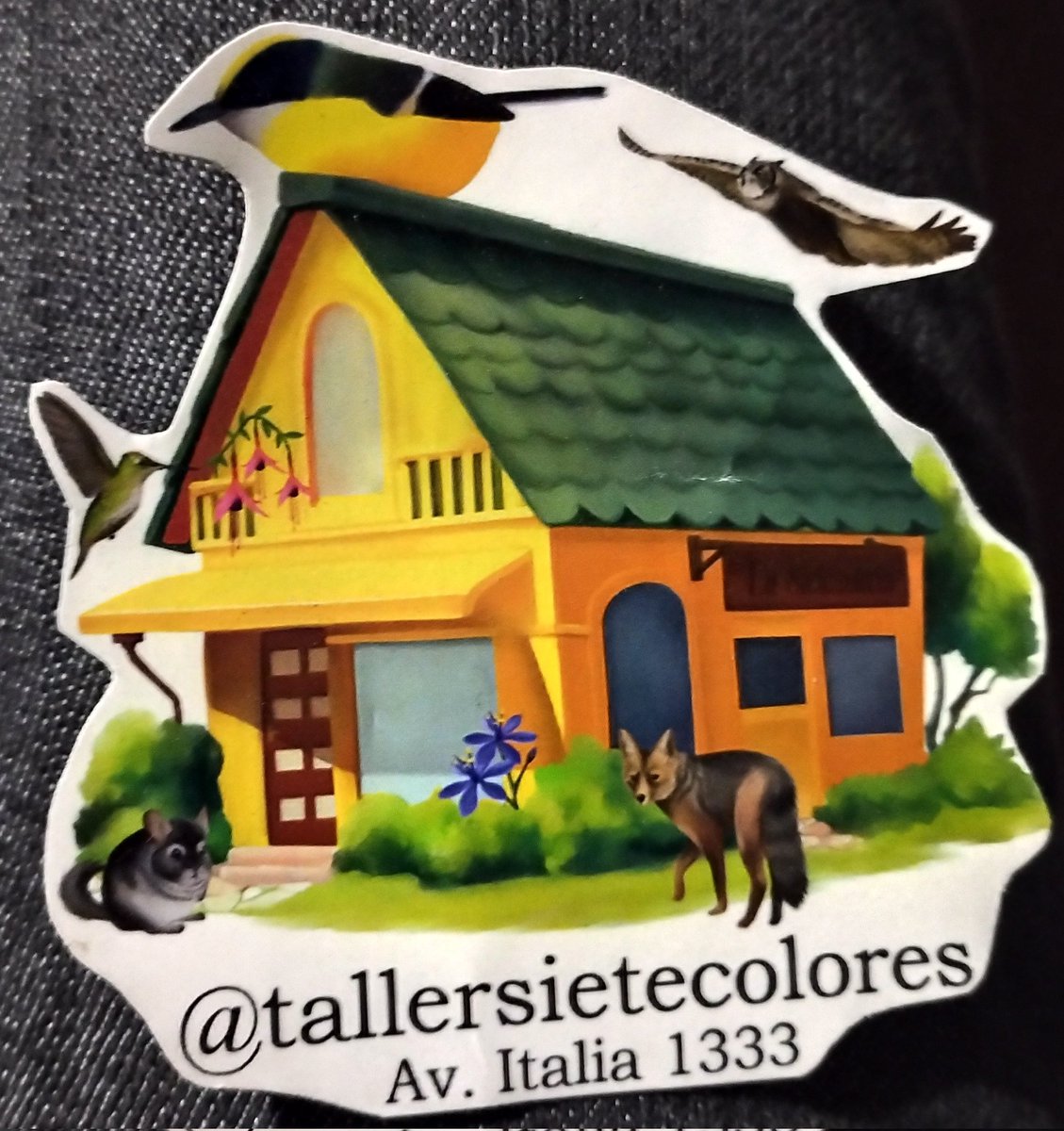 SoyLaTalAle's tweet photo. Ya que les gustó tanto el #Fiu
Pueden visitar esta tienda dedicada a los pajaritos, tienen desde libros hasta ropa.
Hay polerones del #Fiu y objetos varios de distintas especies.
La recomiendo!
Queda en Barrio Italia cercano #MetroSantaIsabel https://t.co/ZJV21YBzJn
