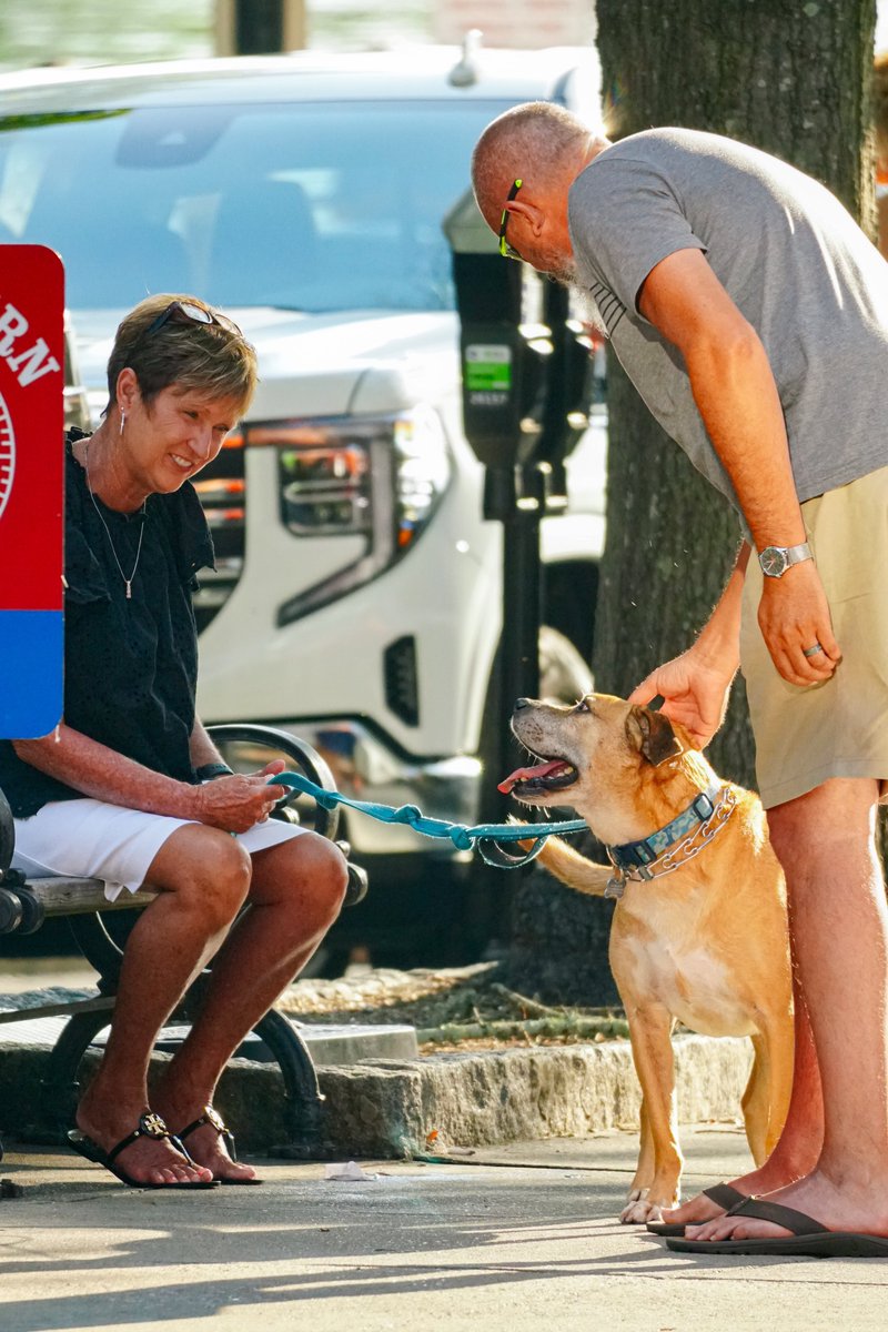 𝐂𝐫𝐚𝐢𝐠 𝐇𝐞𝐰𝐞𝐭𝐭 tweet media