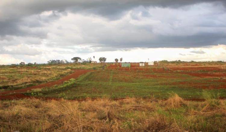 WinnieBaita's tweet photo. Look at this beautiful place in Ruiru! This is where your home should be!
located 4.5 km off Thika Superhighway, exit 13 behind Spur Mall, along RuiruMugutha (kabogo)road
𝐂𝐨𝐧𝐭𝐚𝐜𝐭: 𝟎𝟕𝟏𝟎𝟏𝟐𝟔𝟏𝟐𝟑
#realestate #Riverline #kabogoroad #MainaAndKingangi #Ruiru #Azziad https://t.co/lOOfjOTNNk