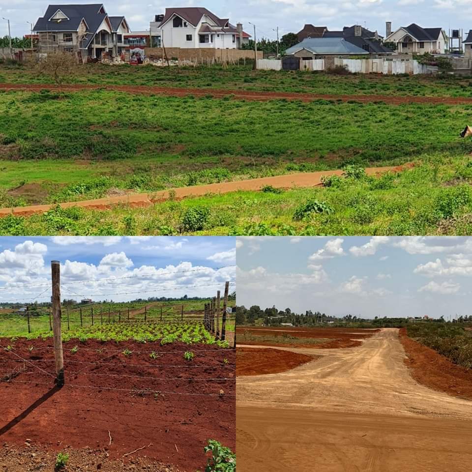 WinnieBaita's tweet photo. Look at this beautiful place in Ruiru! This is where your home should be!
located 4.5 km off Thika Superhighway, exit 13 behind Spur Mall, along RuiruMugutha (kabogo)road
𝐂𝐨𝐧𝐭𝐚𝐜𝐭: 𝟎𝟕𝟏𝟎𝟏𝟐𝟔𝟏𝟐𝟑
#realestate #Riverline #kabogoroad #MainaAndKingangi #Ruiru #Azziad https://t.co/lOOfjOTNNk