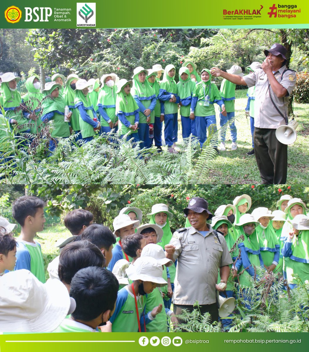 brmprempahobat's tweet photo. Senin (06/11) Balai Pengujian Standar Instrumen Tanaman Rempah, Obat dan Aromatik (BSIP-TROA) menerima kunjungan dari SD Islam Terpadu (SDIT) Aliya, Kota Bogor.
(Azwar/BSIP-TROA)
#agrostandar
#bsiptroa
#majumandirimodern https://t.co/VQBAweDx1N
