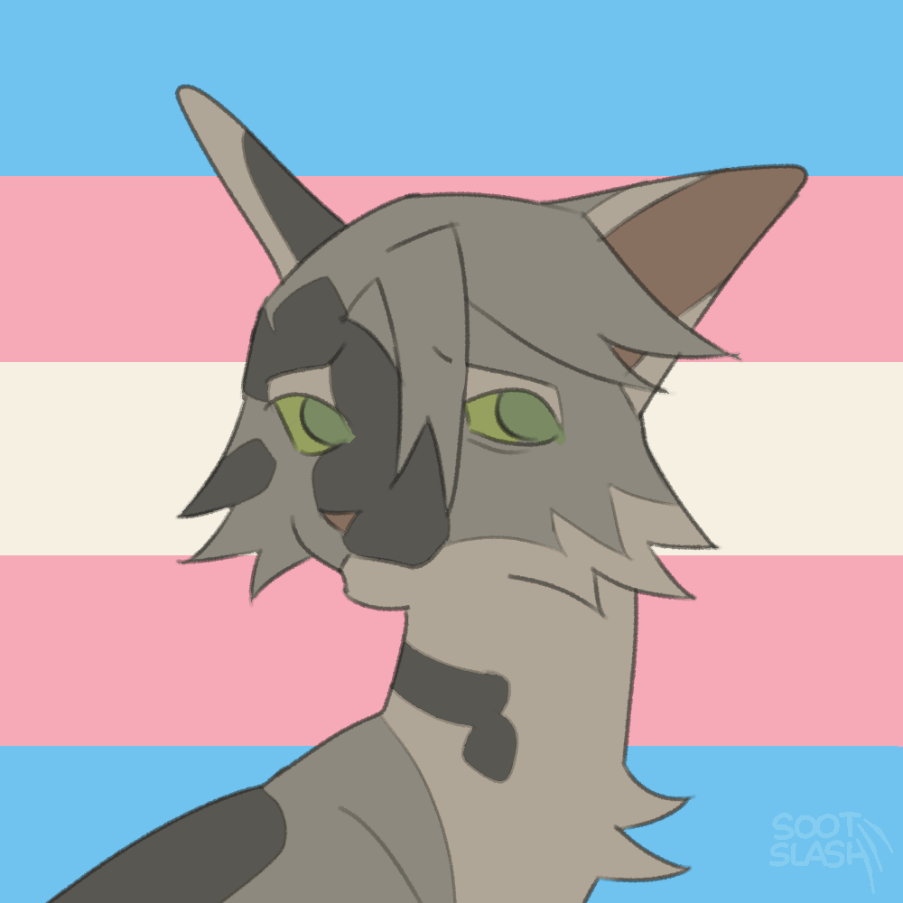 mantis/ark on X: i'm doing warrior cats pride icons on tumblr, this'll be  a thread of them all as i do them my tumblr is @ sootslash if you want to  request